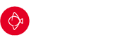 Matsuri